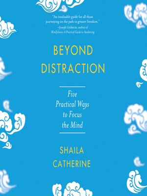cover image of Beyond Distraction